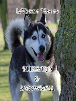 cover image of Blizzard & Snowball